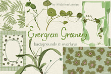Greenery & Ferns PNG Illustrations by  in Illustrations