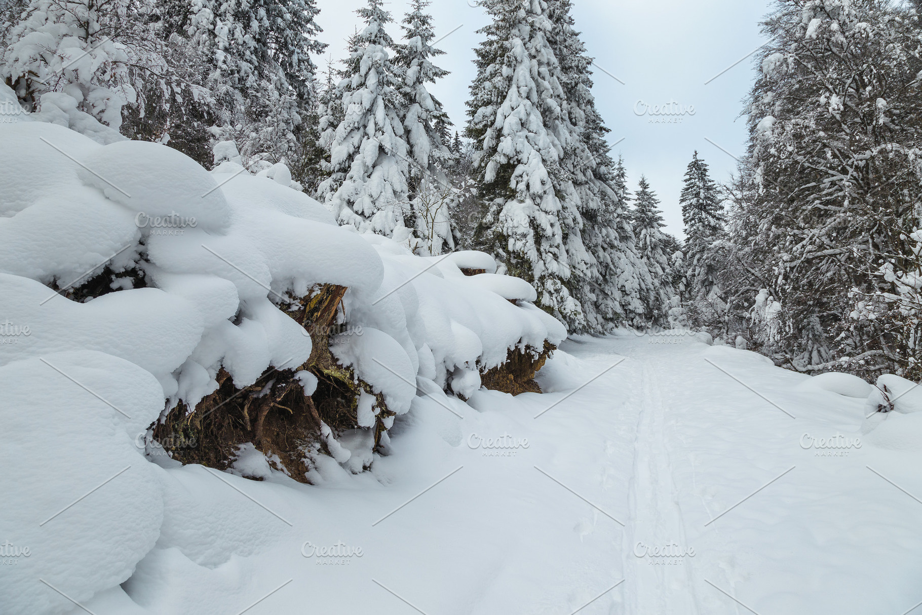 Frozen winter scenery and snowy road, a Nature Photo by Alpine Dreams