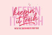 South Route Font Duo & Extras, a Script Font by Nicky Laatz (Thumbnail 6 of 15)