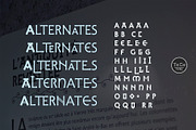 Dilectus, a Script Font by TeGeType foundry (Thumbnail 7 of 8)