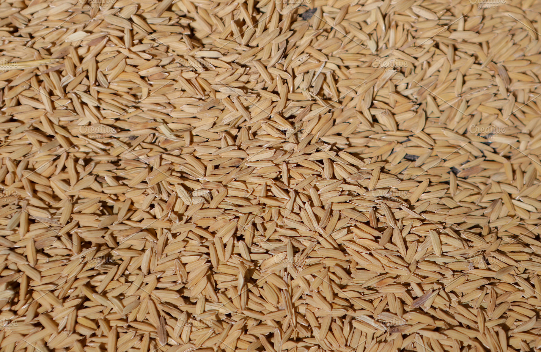 Close-up of rice texture (grain), a Food & Drink Photo by bastera