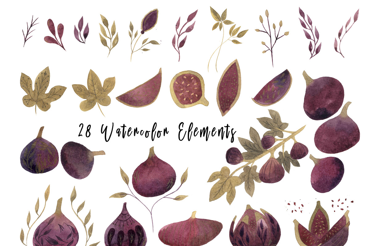 Watercolor Persian Figs, an Object Graphic by Zahra Makes (Photo 2 of 3)