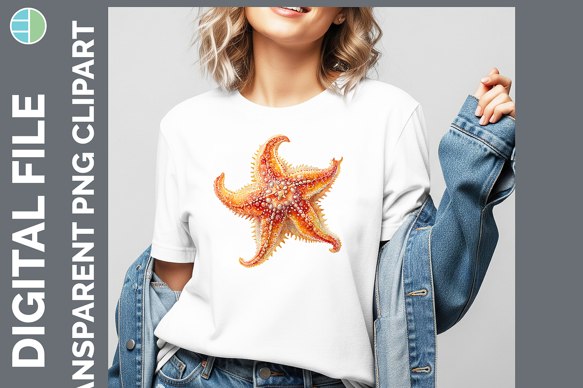Marine Invertebrate Clipart, 25 PNG, an Animal Illustration by Enliven Designs (Photo 2 of 8)
