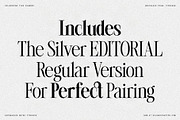 The Silver Editorial Pixel Version, a Serif Font by SilverStag Type Foundry (Thumbnail 8 of 20)