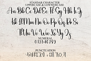 History Valentine, a Handwritten Font by FreshTypeINK (Thumbnail 3 of 8)