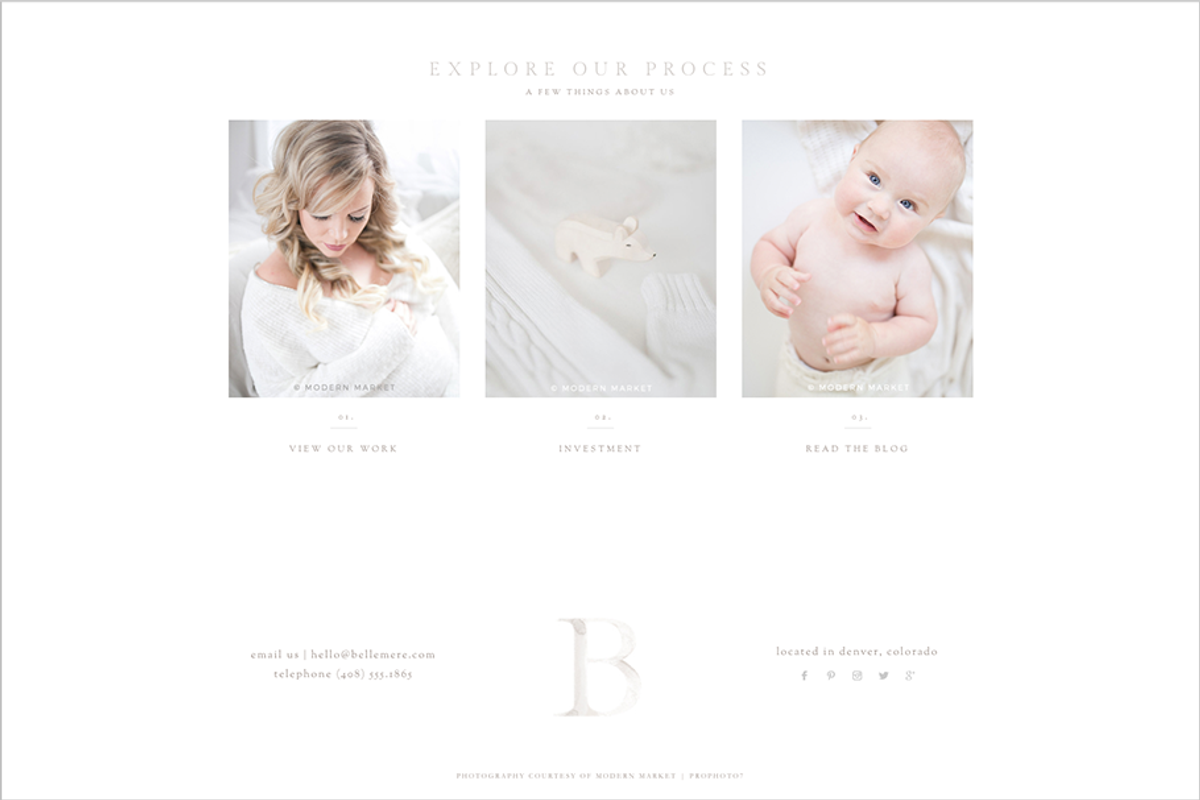 Belle Mère Prophoto 7 Template, a Websites & App Template by Red Met Yellow Creative (Photo 9 of 23)