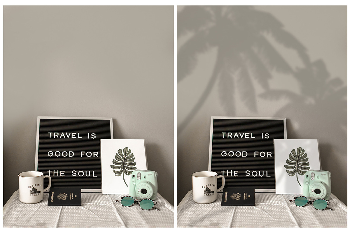 40 Plant Shadows Overlays, a Brushes & More by HappyNews (Photo 10 of 11)