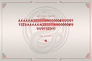 White Snake - A Modern Chinese Font, a Serif Font by overlaytemplates (Thumbnail 5 of 5)