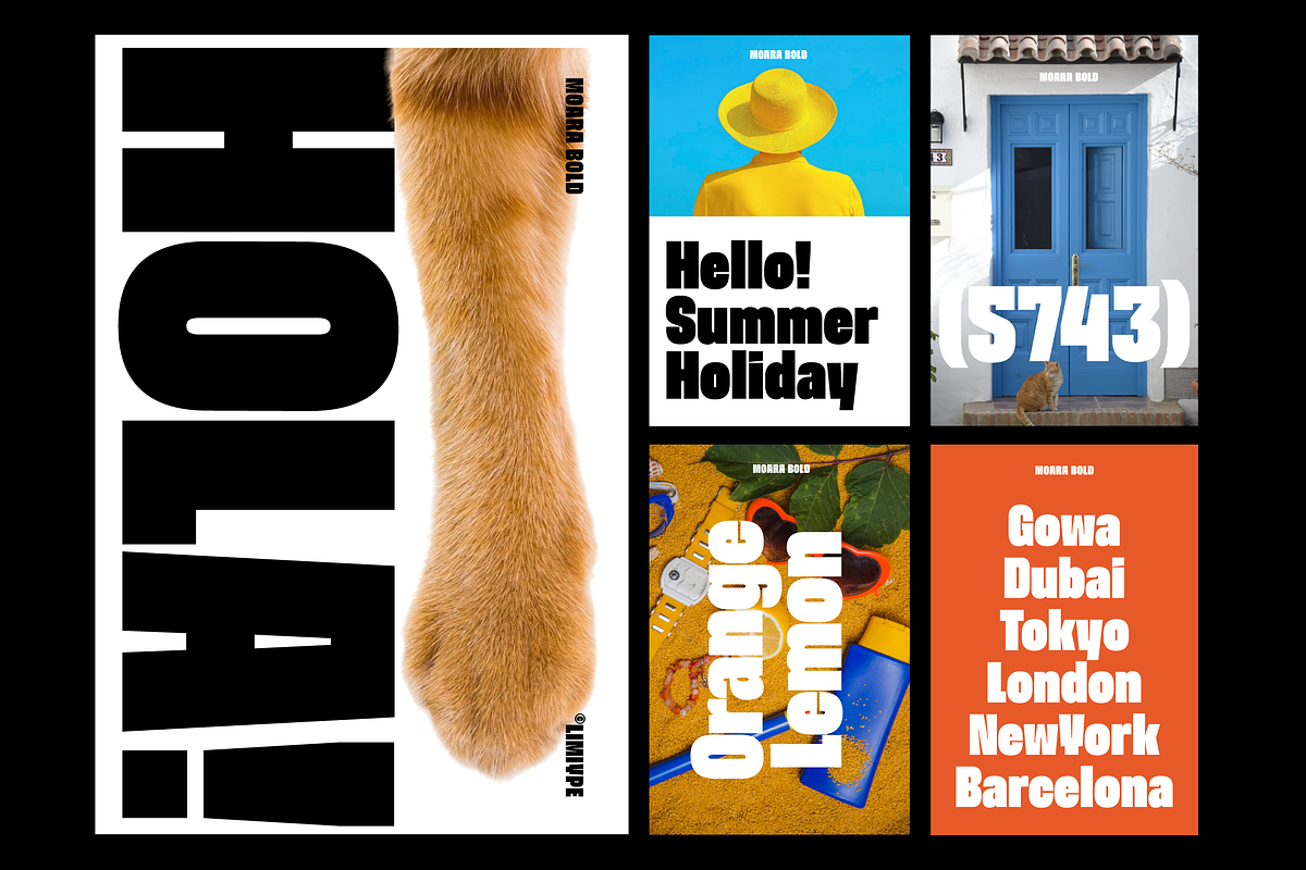Moara - Bold Condensed Font, a Sans Serif Font by limitype (Photo 7 of 13)