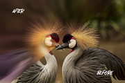 Zoom Burst Photo Effect, a Layer Style Add-On by WudelMbois Studio (Thumbnail 2 of 3)