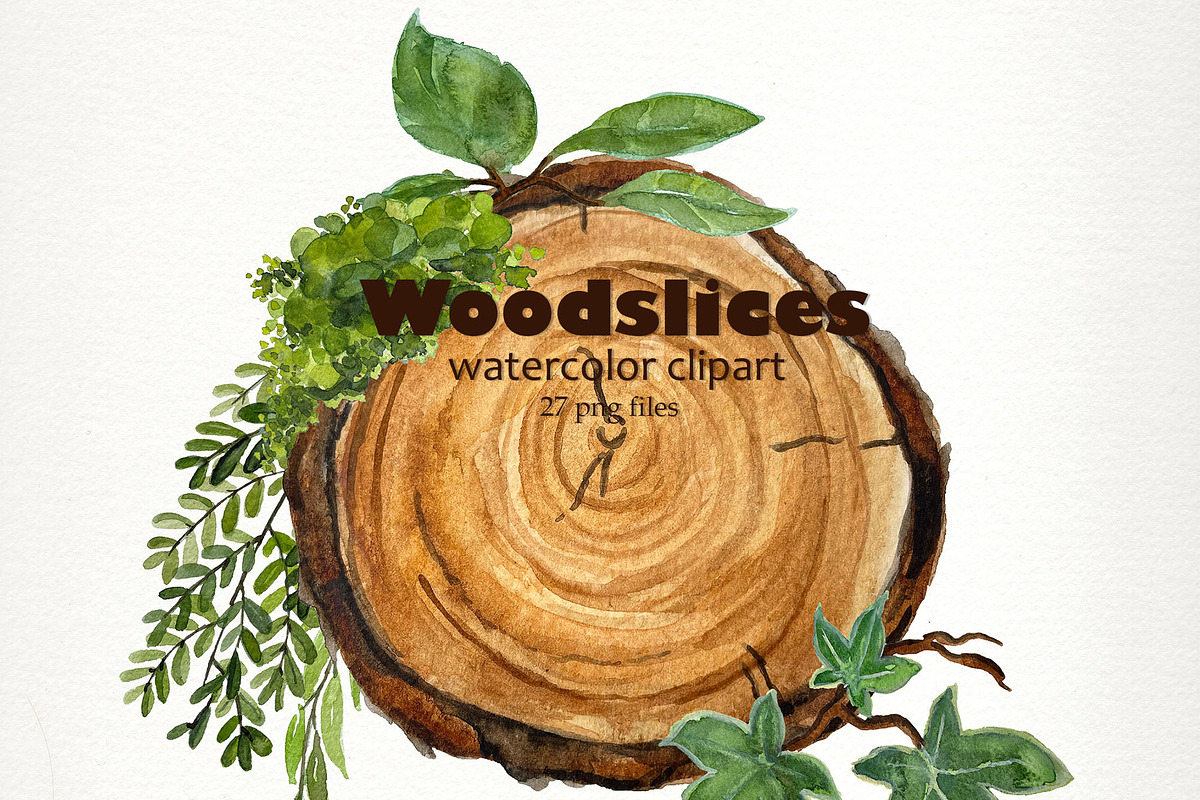 Watercolor Woodslices Clipart- Handp, an Illustration by SandraGraphicDesign (Photo 4 of 7)