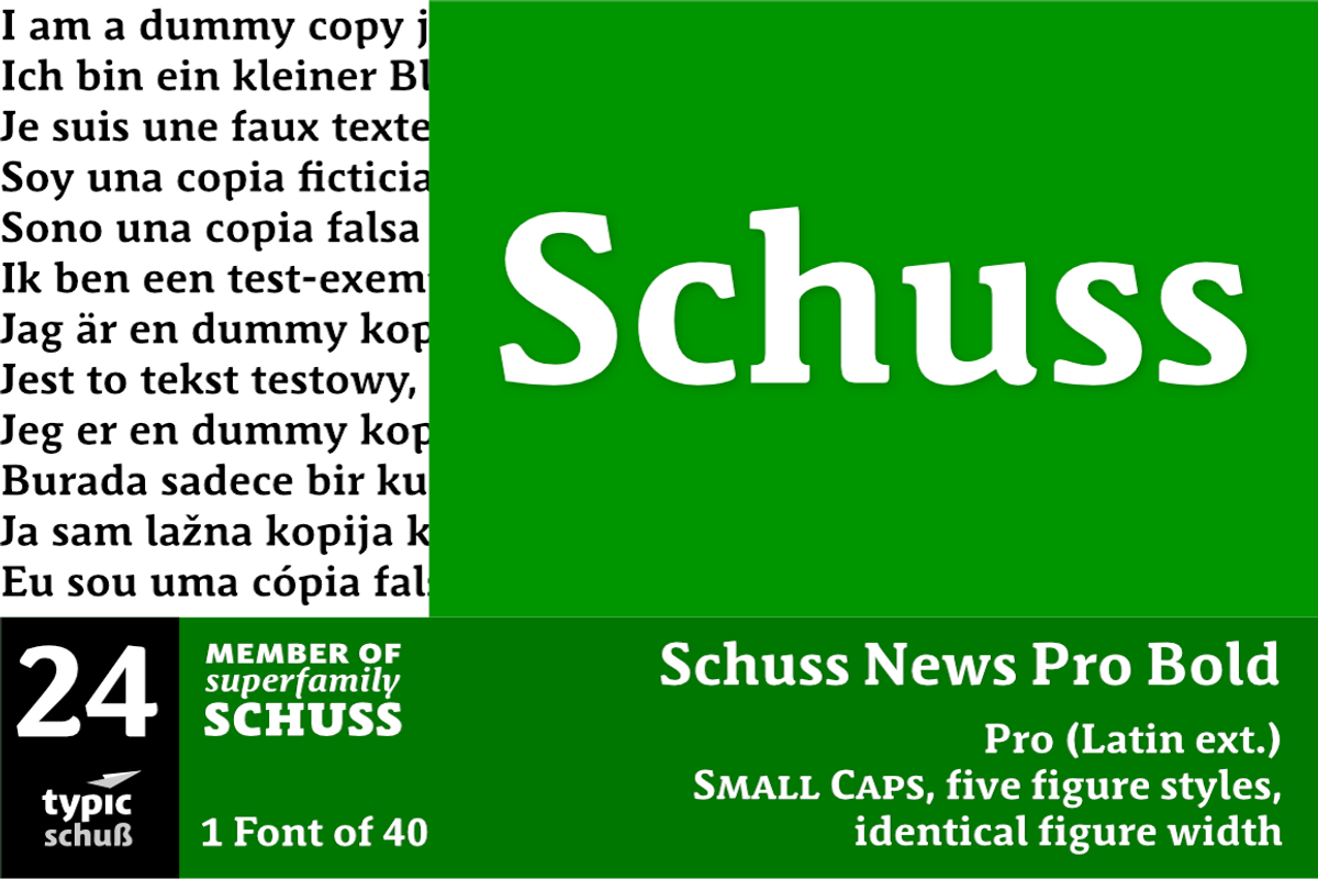 SchussNewsProBold No.24 (1 Font)