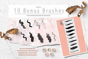 Floral Procreate Stamp Brushes 6