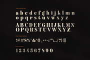 Migillay Elegant Serif Display Font, a Serif Font by Elegant Font (Thumbnail 7 of 8)
