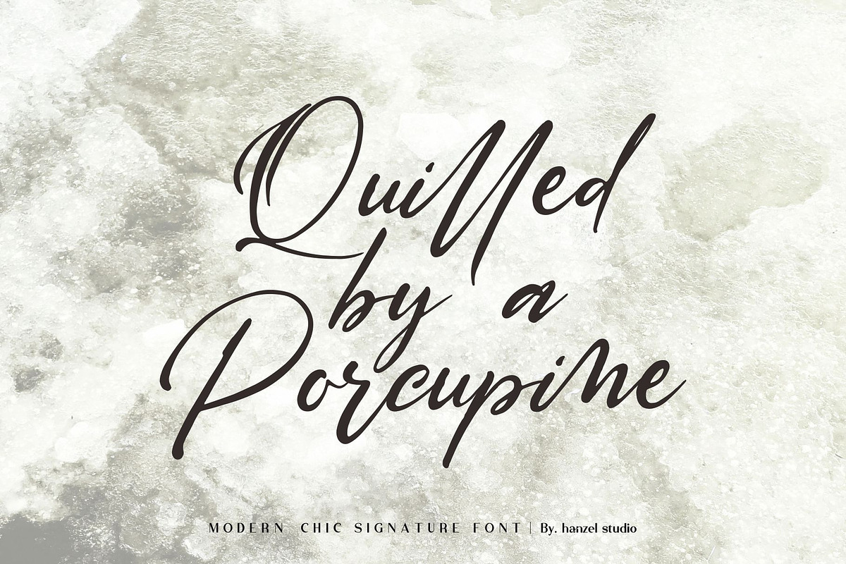 Saltacrus//Chic Signature Font preview 8