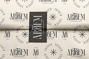 Royal Type - ligature serif font, a Serif Font by VP Fonts (Thumbnail 5 of 16)