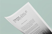 J U N I P E R  Flyer Template, a Flyer Template by 46&2 Collective (Thumbnail 9 of 11)