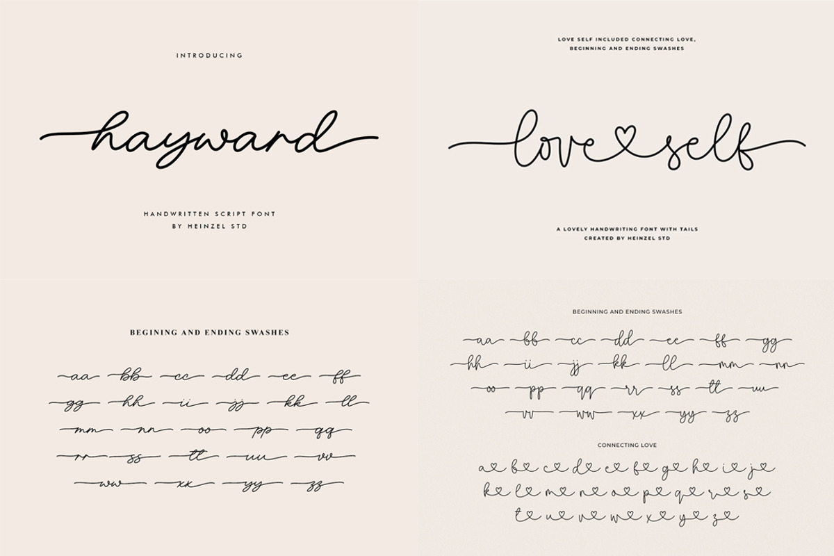 Premium Font Bundle Sale, a Script Font by Heinzel Std (Photo 6 of 10)