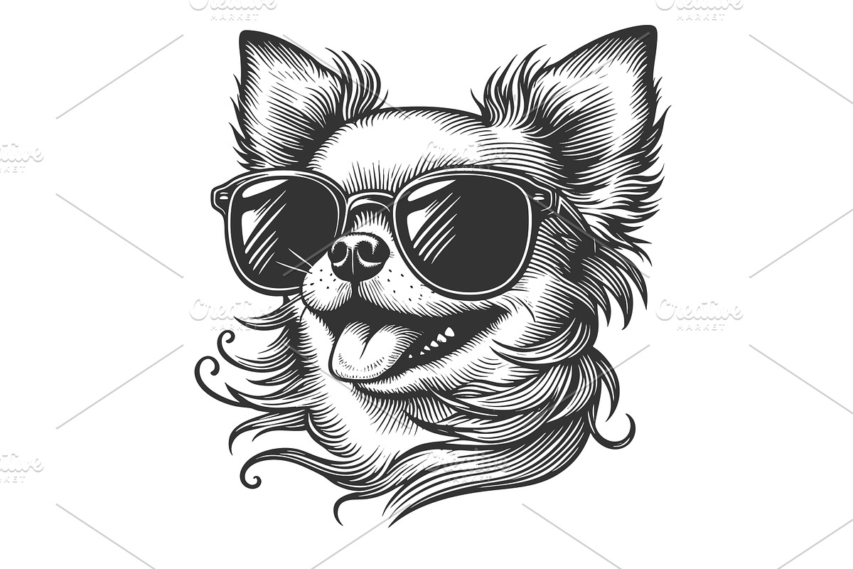 Cool chihuahua dog sunglasses vector, an Animal Illustration by AlexArt