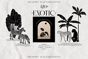 EXOTIC Graphics and animated stories, an Animal Illustration by Anastezia Luneva (Thumbnail 1 of 11)