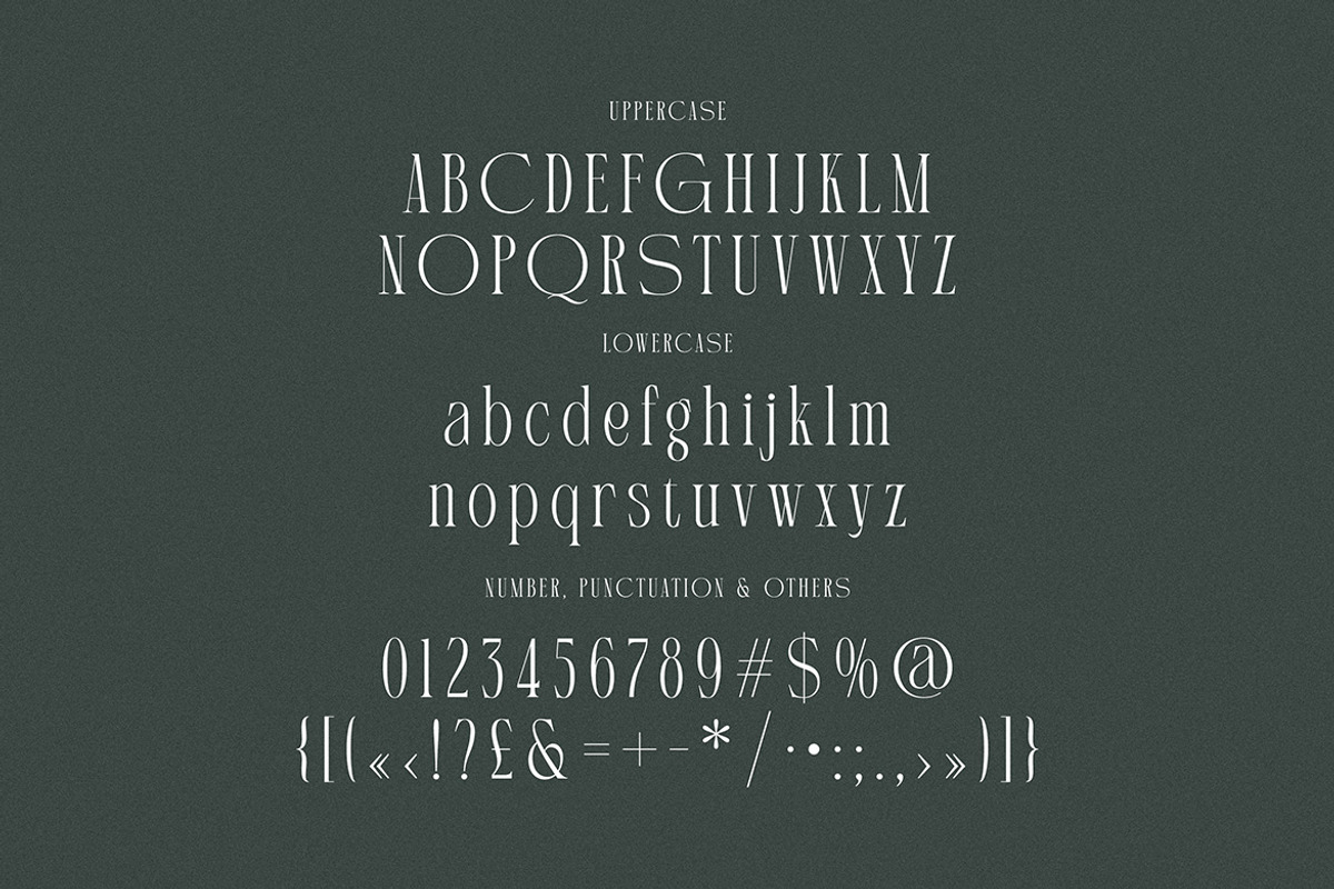 Martin Langley Elegant Serif, a Serif Font by Cruzine (Photo 5 of 8)