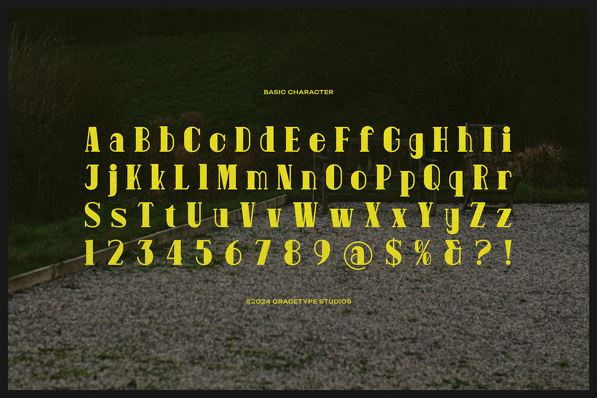 Pitolia | Decorative Display Serif, a Serif Font by gracetype_studio (Photo 10 of 12)