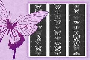 120 Butterfly Procreate Stamps