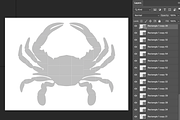 Crab photo collage template, a Poster Template by AIW SOLUTIONS (Thumbnail 3 of 3)