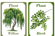 Plants Flash Cards For Kids, a Card Template by DigitalsDesigns (Thumbnail 4 of 4)