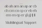 Rergian - A New Moderen Serif Font, a Serif Font by GridlineType (Thumbnail 10 of 10)