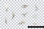 Yellow Bohemian Wildflower, an Illustration by ryelart.design (Thumbnail 2 of 4)