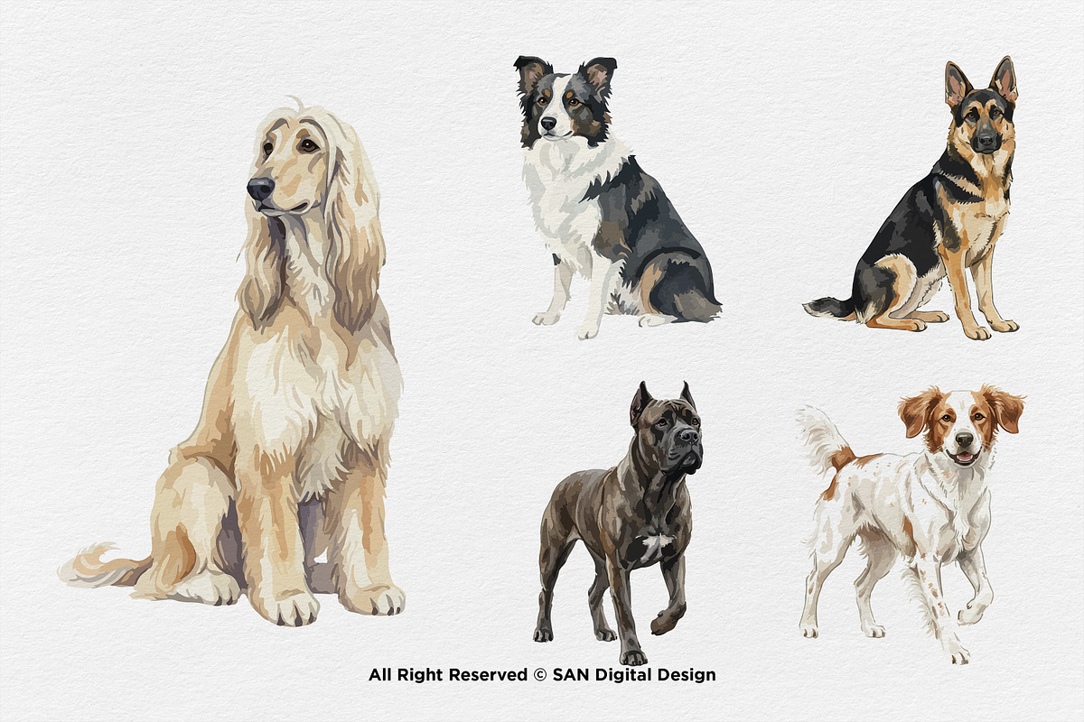 15 Bundle Watercolor Big Dog Fluffy, an Animal Illustration by Morspective (Photo 7 of 8)