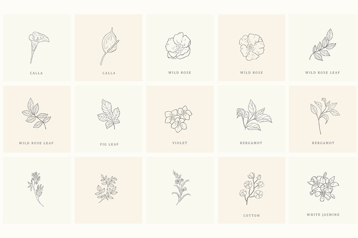 Botanical Hand Drawn Designs, Logos, a Seasonal Illustration by Designwork (Photo 4 of 22)