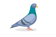 Collection of funny pigeon character, an Illustration by Viktorijareut (Thumbnail 2 of 5)