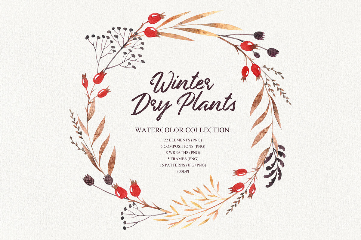 Winter dry plants, an Illustration by Natalia Fedorova (Photo 1 of 8)
