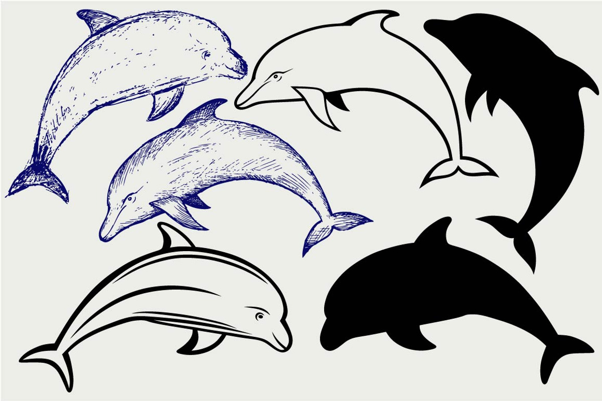 Beautiful dolphin SVG, an Outline Icon by LineworkStock