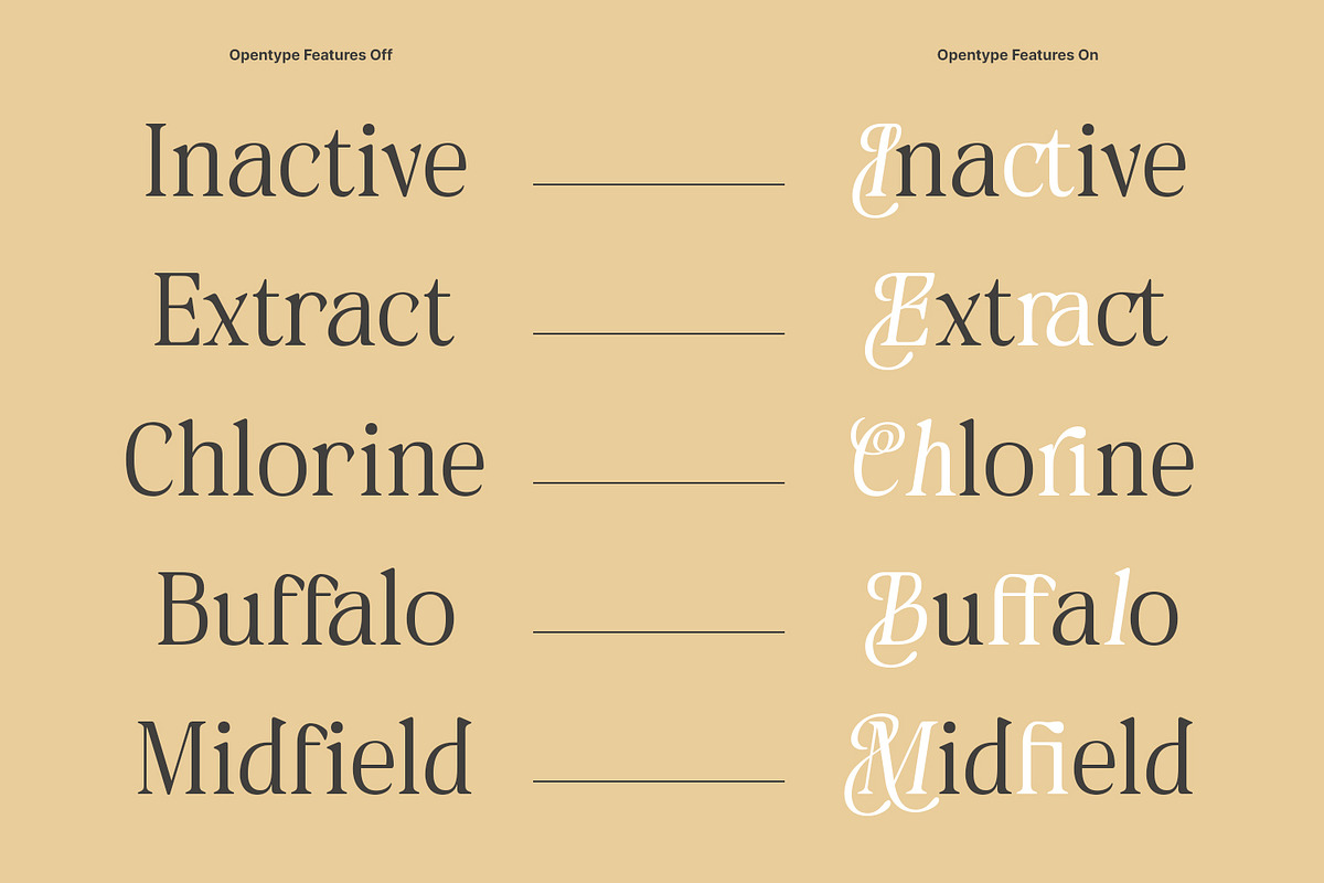 Naivelist, a Serif Font by din-studio.com (Photo 7 of 10)