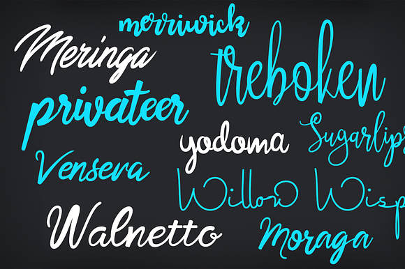20 Script Fonts preview 2