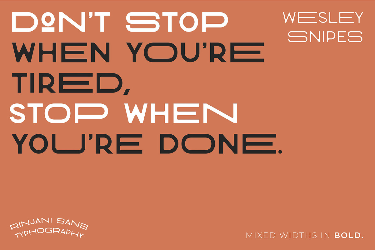 Rinjani Sans - Wide Stretch Typeface, a Sans Serif Font by CCS Type (Photo 9 of 24)