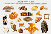 330+ Elements Autumn Collage Creator, an Object Graphic by Digi Life (Thumbnail 7 of 13)