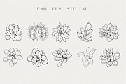Line Art Succulent Illustrations, a Decorative Illustration by CL Creative Studio (Thumbnail 3 of 10)