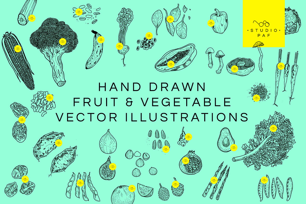 Fruit & Veg - Hand Drawn Vectors, a Food Illustration by STUDIO PAF (Photo 1 of 8)