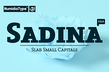Sadina Slab SC
