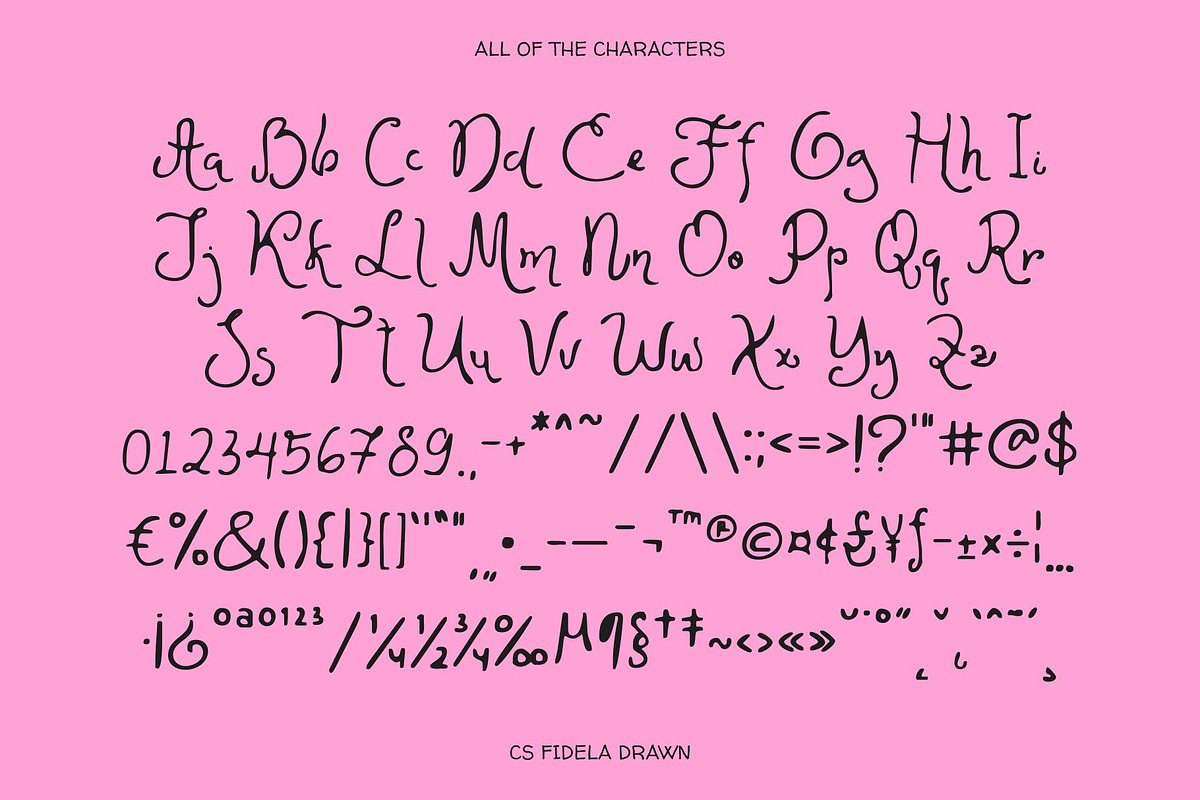 CS Fidela Drawn, a Sans Serif Font by Craft Supply Co. (Photo 8 of 8)
