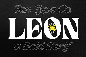 TAN - LEON, a Serif Font by TanType