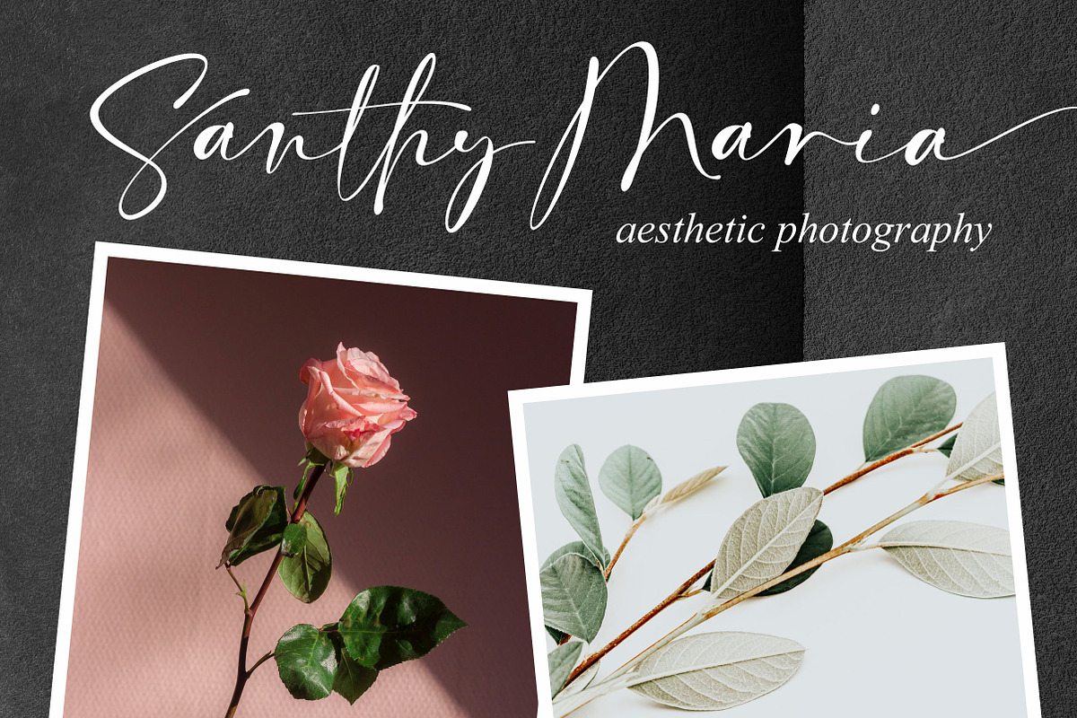Callient - Modern Signature, a Script Font by ErgibiStudio (Photo 2 of 10)