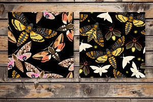 Moths And Fireflies Patterns