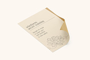 Asvata a Elegant Serif, a Serif Font by Lettertype Studio (Thumbnail 6 of 13)