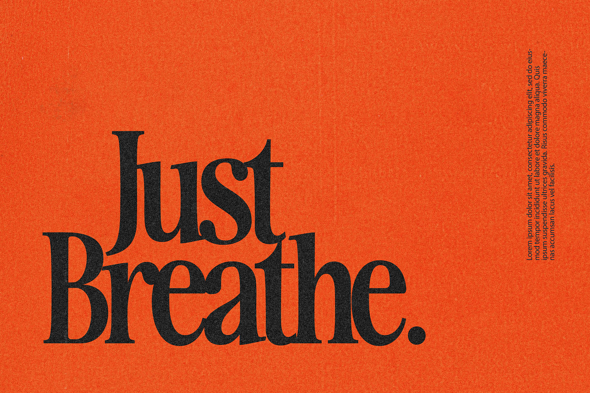 The Awesome Serif Family (32 Fonts), a Serif Font by Nicky Laatz (Photo 37 of 42)