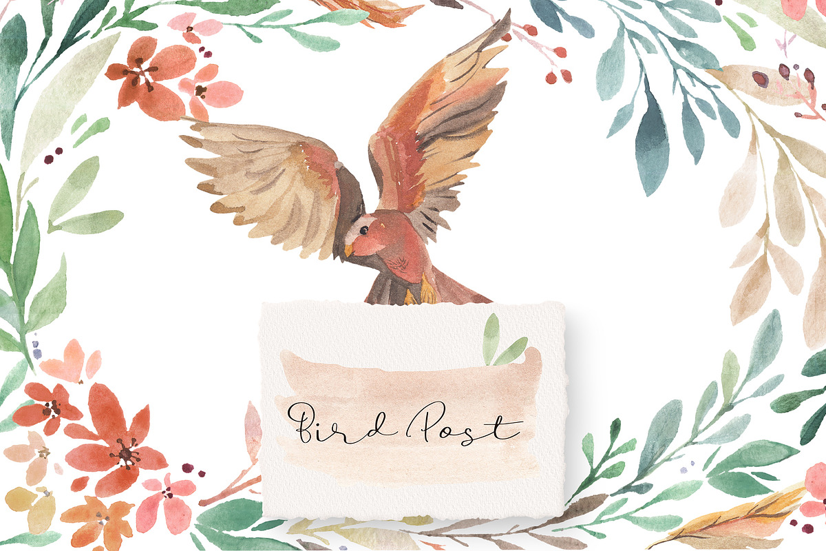 Bird Post - Watercolor Collection, an Illustration by ColorfulNest (Photo 1 of 8)
